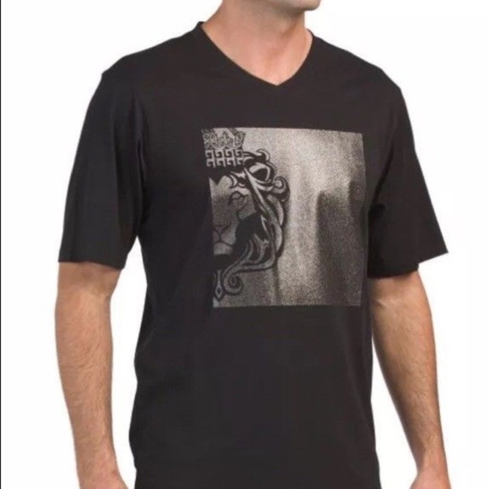 NWT! V neck t-shirt